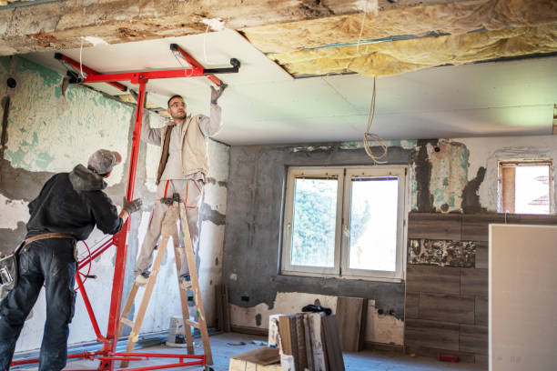 Best Geographic-Specific Insulation Services in Payson, IL