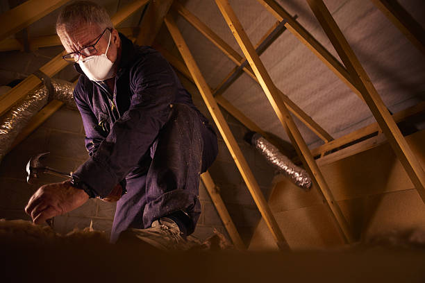 Best Eco-Friendly Insulation in Payson, IL